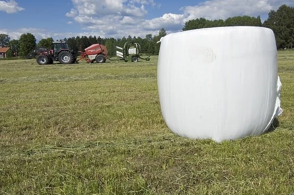 Plastic wrapped round silage bale in field, tractor with baler and mechanical bale-wrapper, in background, Sweden