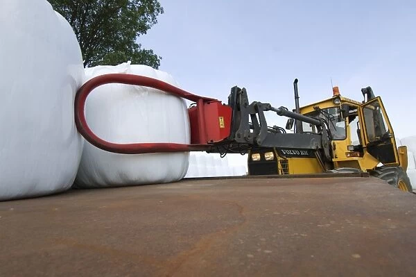 Plastic wrapped round silage bales, stacked onto trailer with mechanical loader, Sweden