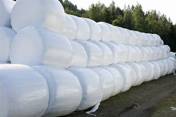 Plastic wrapped round silage bales, Sweden