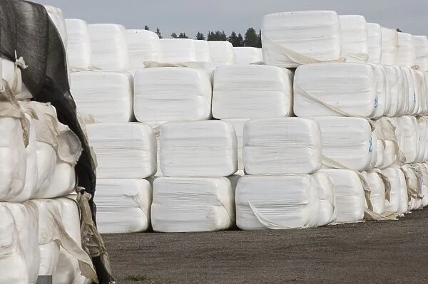 Plastic wrapped silage bales, Sweden