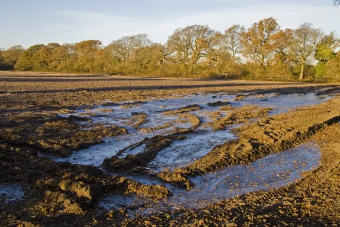 Framed Print : Ploughed field with fallen leaves on frozen puddles, Dorset, England, december Framed Print : Ploughed field with fallen leaves on frozen puddles, Dorset, England, december