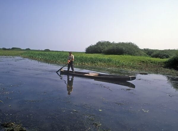 Poland Man on boat  /  Narew River  /  Biebrza Marshes