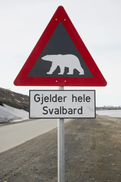 Framed Print : Polar Bear (Ursus maritimus) warning sign at roadside, Longyearbyen, Spitsbergen, Svalbard Framed Print : Polar Bear (Ursus maritimus) warning sign at roadside, Longyearbyen, Spitsbergen, Svalbard