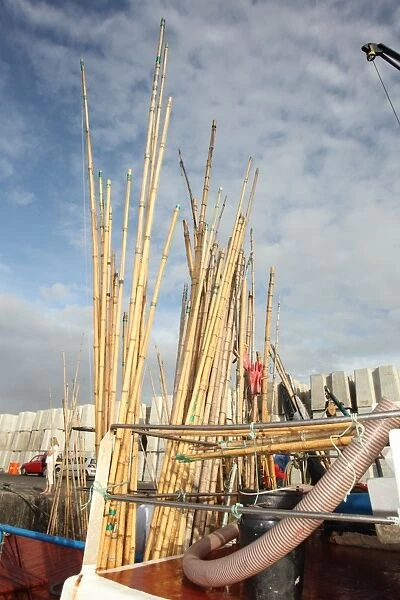 Poles used for line caught tuna fishing on boat in harbour, pole and line fishing method, Pico Island, Azores, august