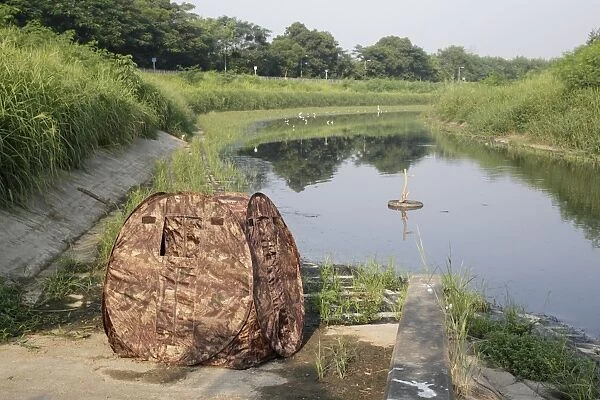 Pop-up hide used by bird photographer at edge of water, Hong Kong, China, October