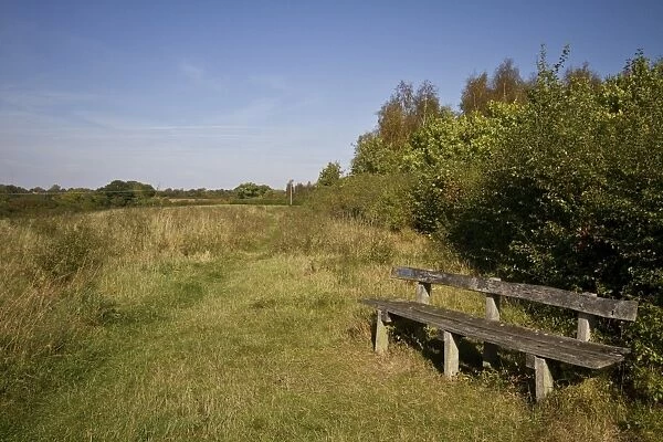 Pound farm is 148 areas of woodland and meadow that was planted with a mix of native british trees in 1992