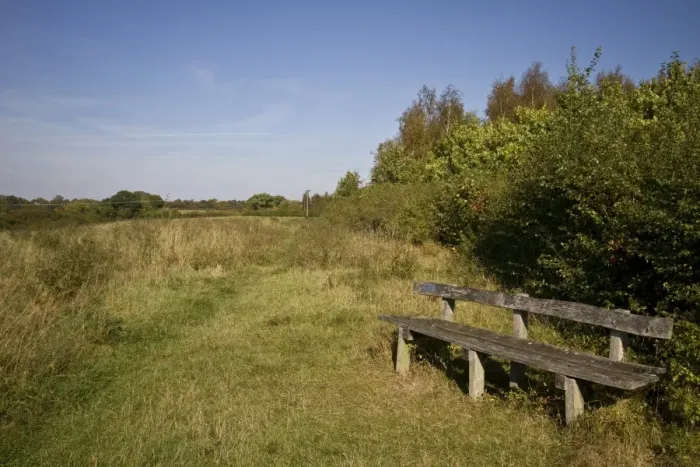 Framed Print : Pound farm is 148 areas of woodland and meadow that was planted with a mix of native british trees in 1992