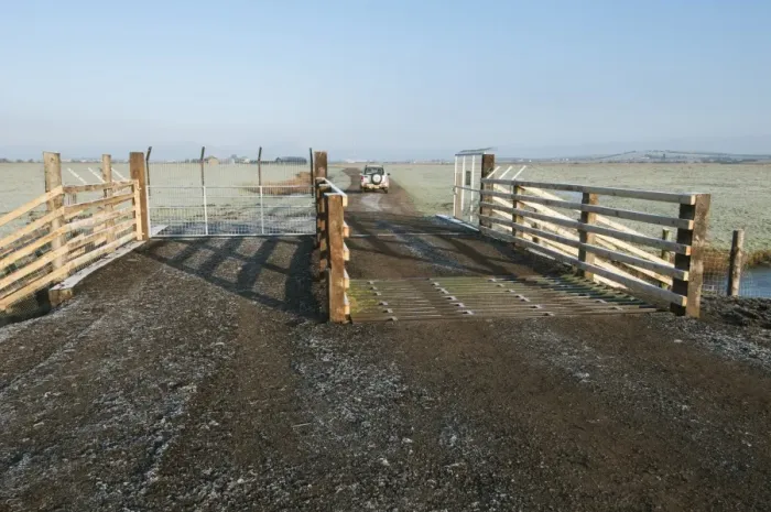 Framed Print : Predator control gate and fence on reserve, Elmley Marshes N. N. R. North Kent Marshes, Isle of Sheppey, Kent, England Framed Print : Predator control gate and fence on reserve, Elmley Marshes N. N. R. North Kent Marshes, Isle of Sheppey, Kent, England