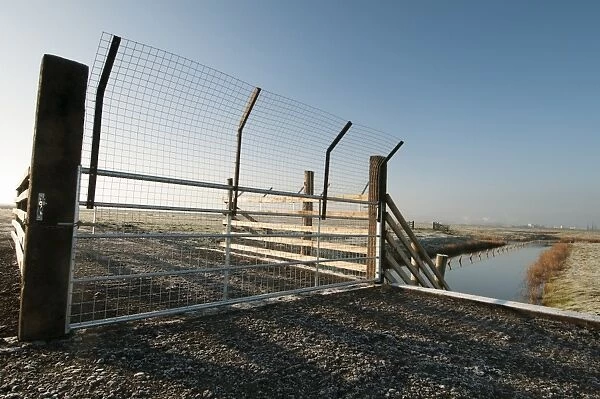 Predator control gate and fence on reserve, Elmley Marshes N. N. R. North Kent Marshes, Isle of Sheppey, Kent, England