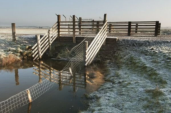 Predator control gate and fence on reserve, Elmley Marshes N. N. R. North Kent Marshes, Isle of Sheppey, Kent, England