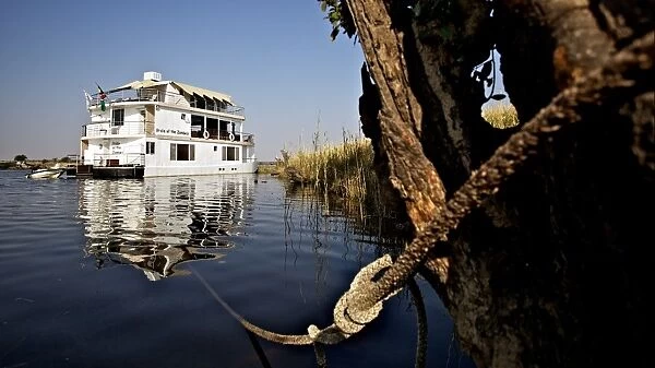 Pride of the Zambezi tourist houseboat, moored on river, Chobe River, Chobe N. P. Botswana, July