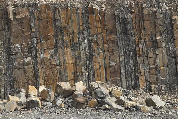 Quarry face, Wenlock sandstone dominated mid-Silurian sedimentary deposits, Tan-Y-Foel Quarry