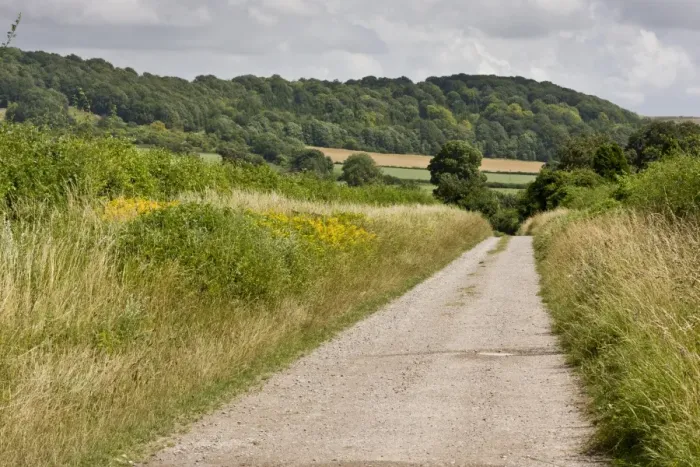 Framed Print : Quiet country lane with verges and hedgerows on chalk, Shipton Bellinger, Salisbury Plain, Hampshire, England, July Framed Print : Quiet country lane with verges and hedgerows on chalk, Shipton Bellinger, Salisbury Plain, Hampshire, England, July