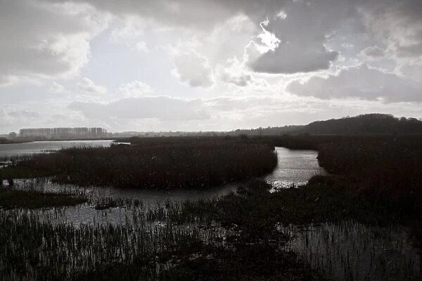 Rain storm over reed beds at RSPB Minsmere Suffolk, view from Island Mere Hide