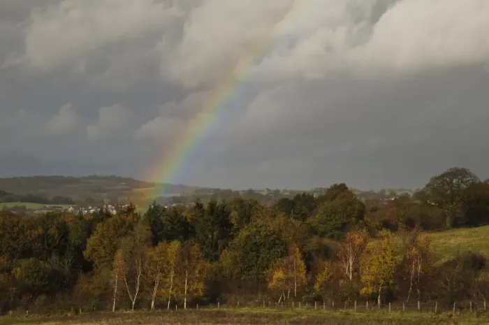 Framed Print : Rainbow over copse of mixed woodland, Pulborough Brooks RSPB Reserve, West Sussex, England, november Framed Print : Rainbow over copse of mixed woodland, Pulborough Brooks RSPB Reserve, West Sussex, England, november