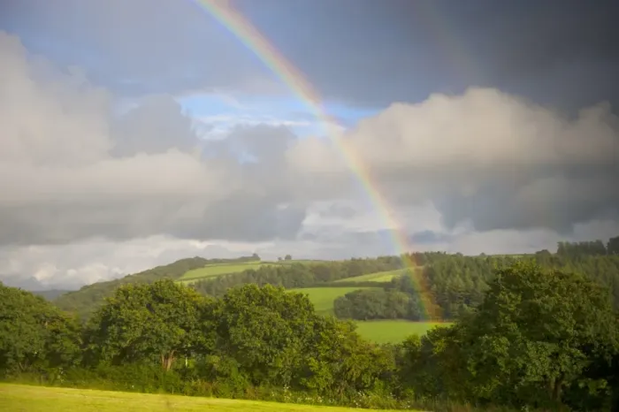 Framed Print : Rainbow over hedgerow, trees and farmland, North Cornwall, England, August Framed Print : Rainbow over hedgerow, trees and farmland, North Cornwall, England, August