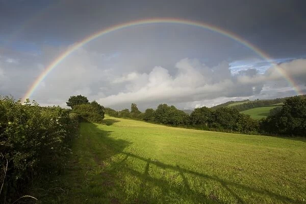 Rainbow over hedgerow, trees and farmland, North Cornwall, England, August