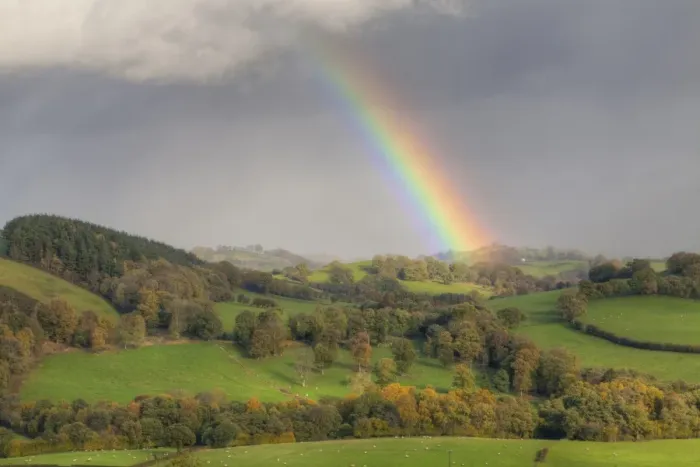 Framed Print : Rainbow and stormclouds over farmland with sheep in pasture, near Tregynon, Powys, Wales, November Framed Print : Rainbow and stormclouds over farmland with sheep in pasture, near Tregynon, Powys, Wales, November