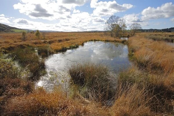Raised bog habitat and old flooded peat diggings, Cors Caron, Ceredigion, Wales, october