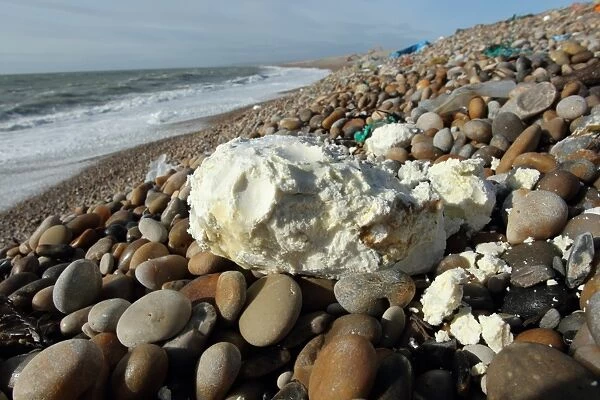 Rancid vegetable oil washed up on beach, Chesil Beach, Dorset, England, February