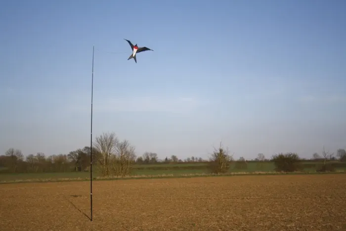 Framed Print : Raptor model birdscarer on pole, in arable field, Bacton, Suffolk, England, march Framed Print : Raptor model birdscarer on pole, in arable field, Bacton, Suffolk, England, march