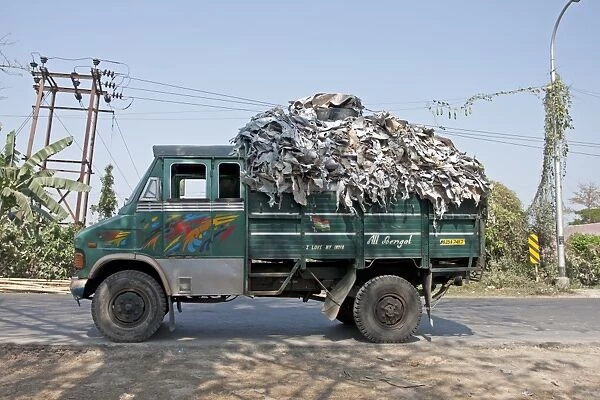 Recycled leather being delivered by lorry to make potash, Sundarbans, Ganges Delta, West Bengal, India, February