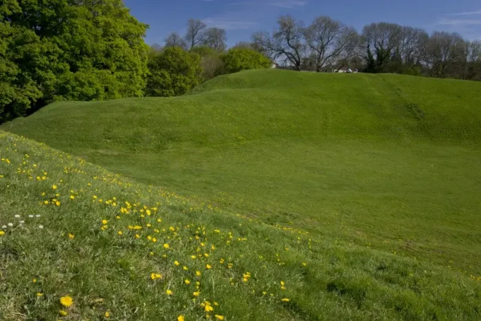 Framed Print : Remains of 2nd century AD Roman amphitheatre, now grassland habitat, Cirencester Amphitheatre, Gloucestershire Framed Print : Remains of 2nd century AD Roman amphitheatre, now grassland habitat, Cirencester Amphitheatre, Gloucestershire
