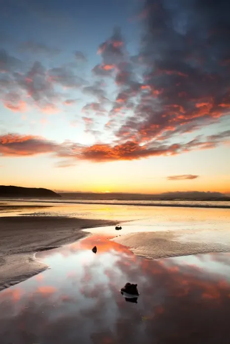 Framed Print : Remains of ancient forest exposed on beach during low tide at sunset, Westward Ho!, North Devon, England, january Framed Print : Remains of ancient forest exposed on beach during low tide at sunset, Westward Ho!, North Devon, England, january