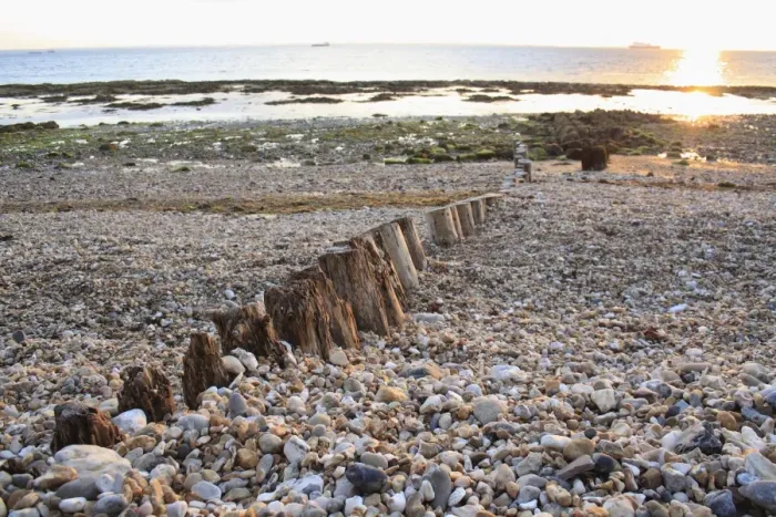 Framed Print : Remains of breakwater on beach with incoming tide at dawn, Bembridge, Isle of Wight, England, june Framed Print : Remains of breakwater on beach with incoming tide at dawn, Bembridge, Isle of Wight, England, june