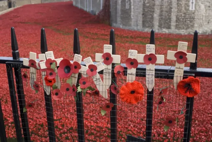 Framed Print : Remembrance poppies on railings beside art installation commemorating centenary of outbreak of World War One