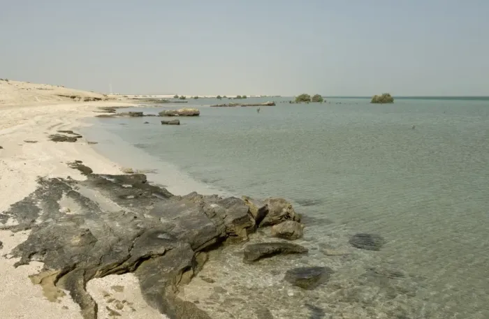 Framed Print : Remote beach with rocks, sand and sea at high water, with isolated mature and young grey mangroves, Arabian Gulf Framed Print : Remote beach with rocks, sand and sea at high water, with isolated mature and young grey mangroves, Arabian Gulf
