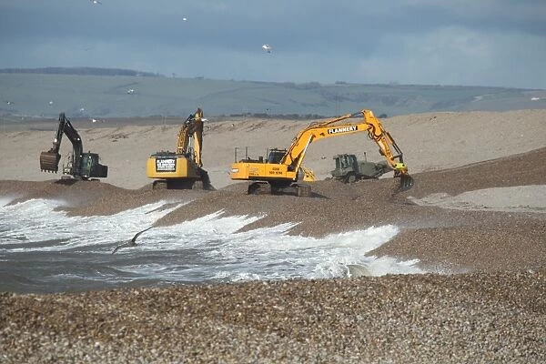 Repairing sea defences, excavators repairing seawall on shingle beach, Chesil Beach, Dorset, England, February 2014