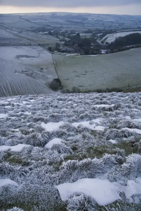 Framed Print : Rime frost, on hillside in rural landscape, Dorset, England, december Framed Print : Rime frost, on hillside in rural landscape, Dorset, England, december
