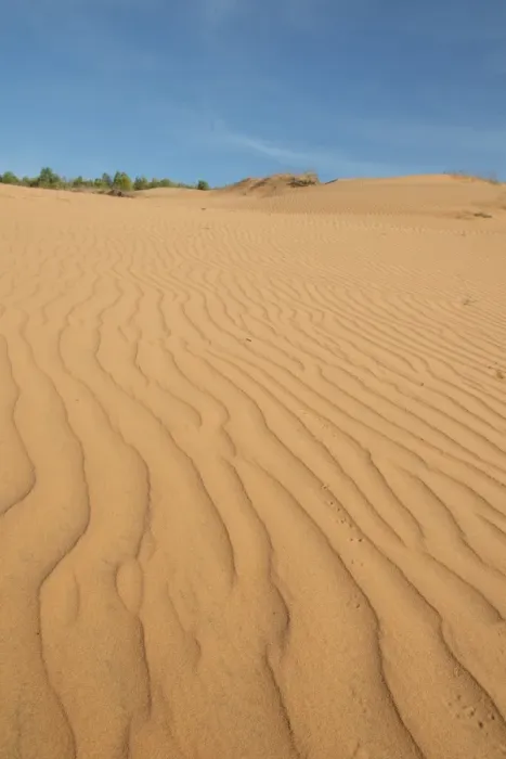 Framed Print : Ripples on coastal sand dunes, Phan Thiet, Binh Thuan Province, Vietnam, December Framed Print : Ripples on coastal sand dunes, Phan Thiet, Binh Thuan Province, Vietnam, December