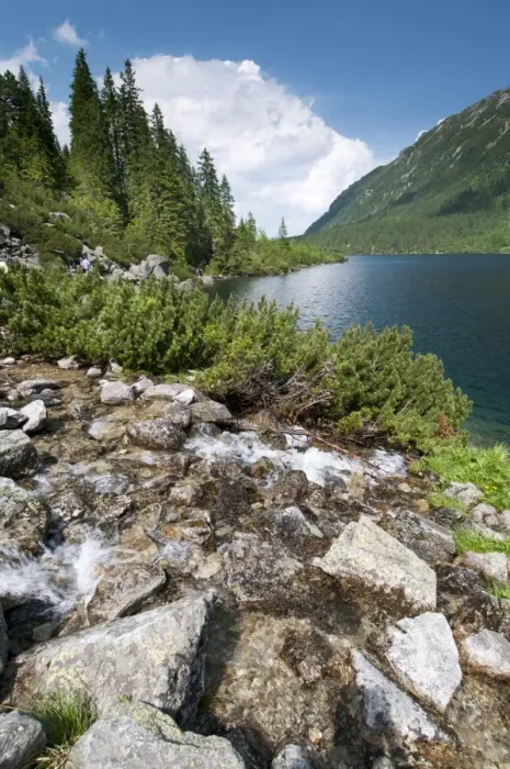 Framed Print : River cascades flowing into montane lake, Lake Morskie Oko, Tatra N. P. Tatra Mountains, Western Carpathians, Poland Framed Print : River cascades flowing into montane lake, Lake Morskie Oko, Tatra N. P. Tatra Mountains, Western Carpathians, Poland