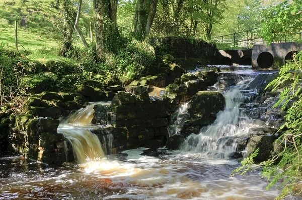 River cascades and salmon ladder, Whitewell, Lancashire, England, october