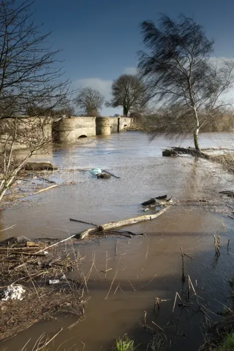 Framed Print : River flooding with high water levels under bridge, River Nidd, Nidderdale, Yorkshire Dales, North Yorkshire, England Framed Print : River flooding with high water levels under bridge, River Nidd, Nidderdale, Yorkshire Dales, North Yorkshire, England