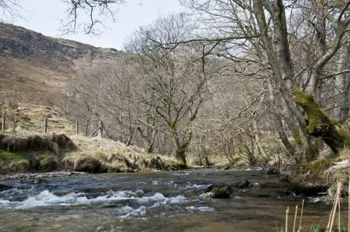 Framed Print : River flowing through nature reserve, River Marteg, Gilfach Farm Nature Reserve, Rhayader, Radnorshire, Wales, april Framed Print : River flowing through nature reserve, River Marteg, Gilfach Farm Nature Reserve, Rhayader, Radnorshire, Wales, april