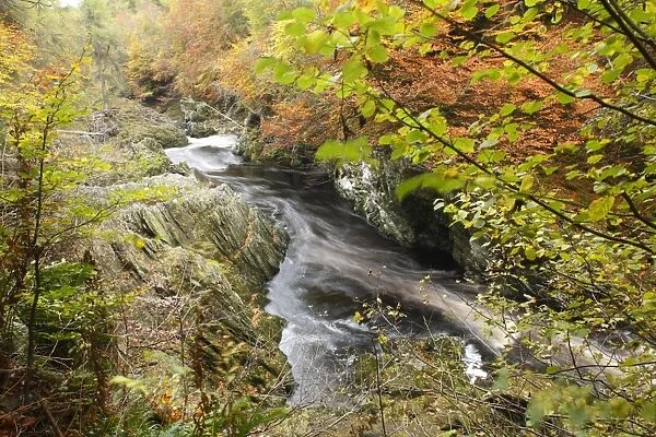 River flowing through wooded gorge habitat, Rocks of Solitude, River North Esk, near Edzell, Angus, Scotland, october