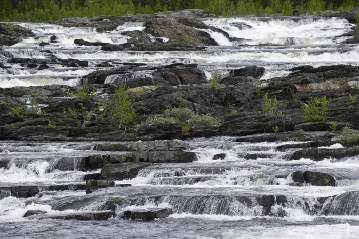 Framed Print : River with multi-step waterfalls, Trappstegsforsen, Lappland, Sweden, June Framed Print : River with multi-step waterfalls, Trappstegsforsen, Lappland, Sweden, June