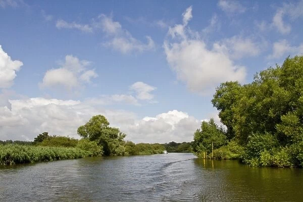 The River Waveney forms the boundary between Suffolk and Norfolk. The source of the River is a ditch on the east side
