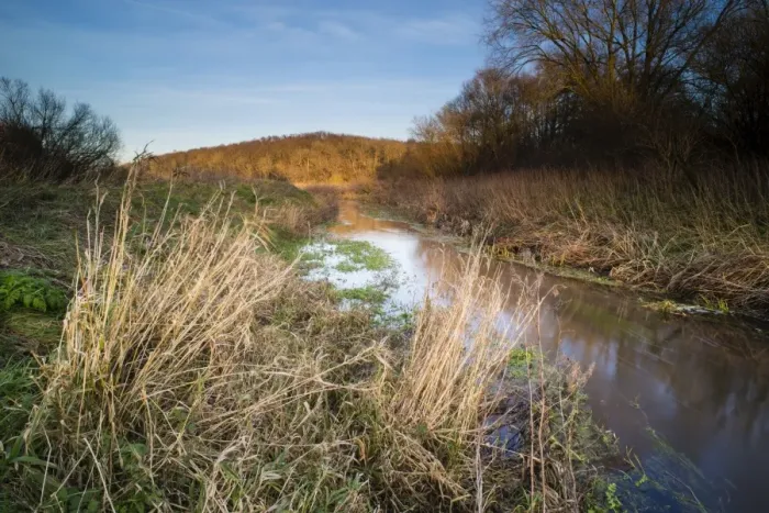 Framed Print : Riverbank habitat on river tributary, Little Stour, Canterbury, Kent, England, January Framed Print : Riverbank habitat on river tributary, Little Stour, Canterbury, Kent, England, January