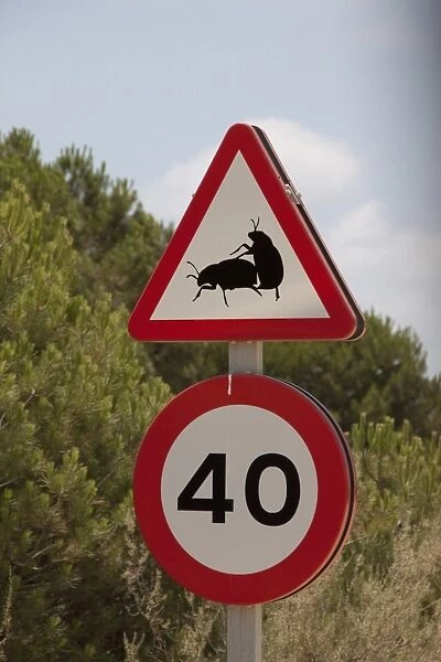 Road sign of two mating dung beetles in the Coto Donana national park Andalusia Spain
