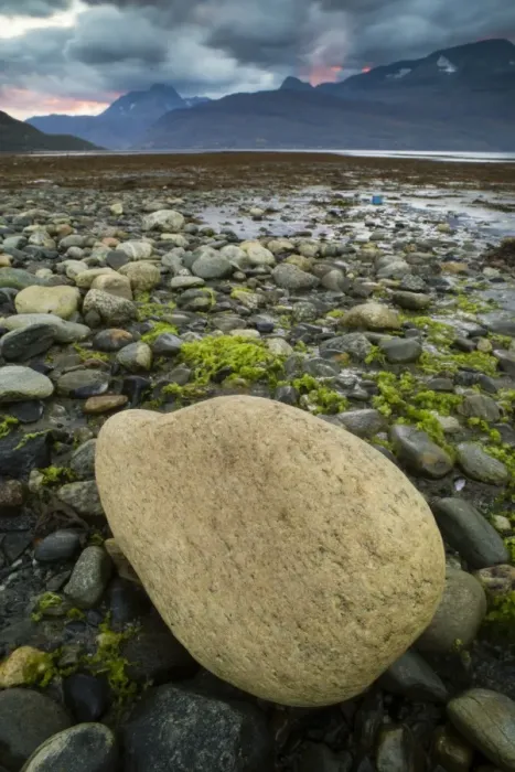 Framed Print : Rock on beach during low tide at sunset, Lyngen Fjord, Skibotn, Lapland, North Norway, September Framed Print : Rock on beach during low tide at sunset, Lyngen Fjord, Skibotn, Lapland, North Norway, September