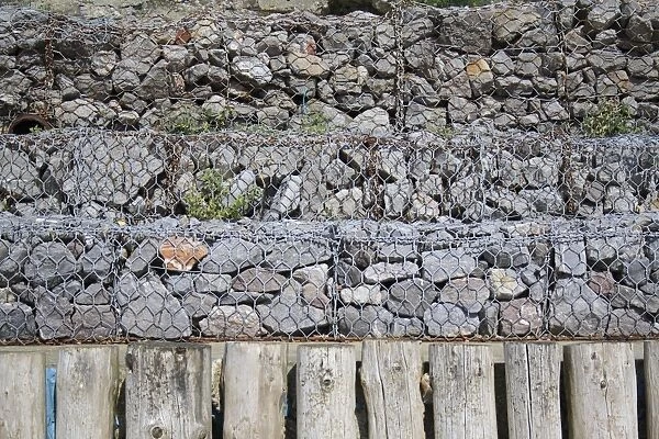 Rock filled gabions used as coastal erosion defence at base of sea cliffs, Whitecliff Bay, Isle of Wight, England, june