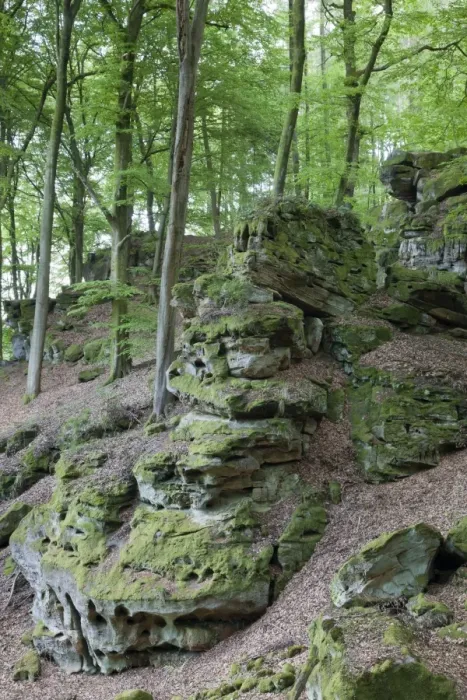Framed Print : Rock formations in deciduous forest habitat, German Luxembourgian Nature Park, Rhineland-Palatinate, Germany, may Framed Print : Rock formations in deciduous forest habitat, German Luxembourgian Nature Park, Rhineland-Palatinate, Germany, may
