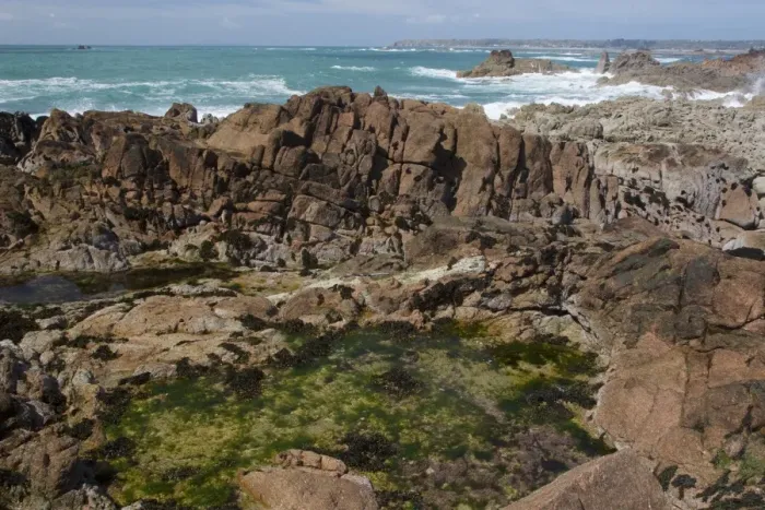 Framed Print : Rockpool on rocky shore at low tide, Jersey, Channel Islands, May