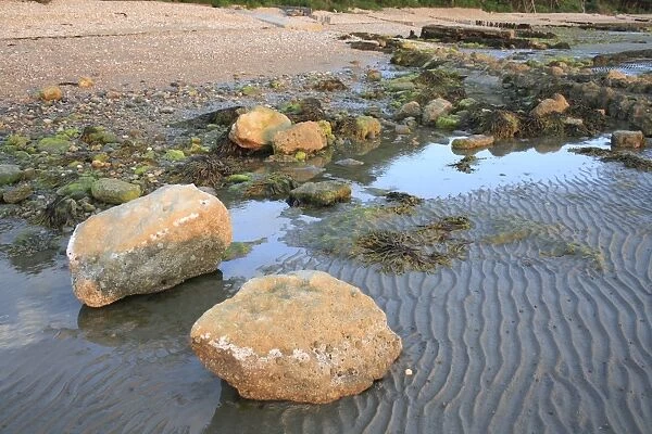 Rocks exposed on beach with incoming tide at dawn, Bembridge, Isle of Wight, England, june