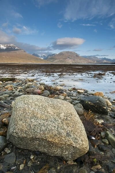 Rocks on shore of fjord during low tide, Skibotn, Lyngen Fjord, Troms County, Lapland, North Norway, September