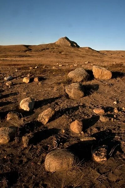 Rocks in shortgrass prairie habitat, West Bloc, Grasslands N. P. Southern Saskatchewan, Canada, october